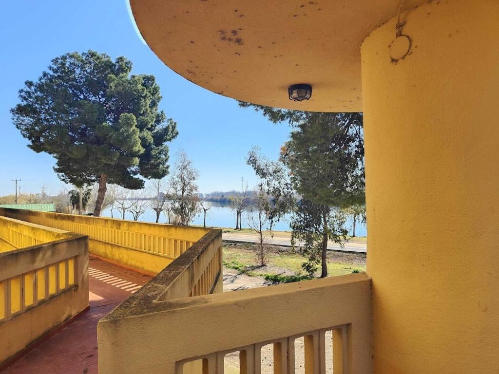 Superbe Appartement Terrasse Entierement Renove Au Bord De L'Ebre Deltebre Eksteriør bilde